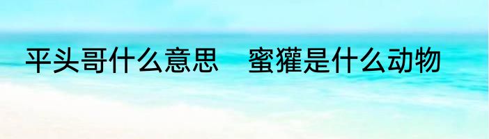 平头哥什么意思　蜜獾是什么动物