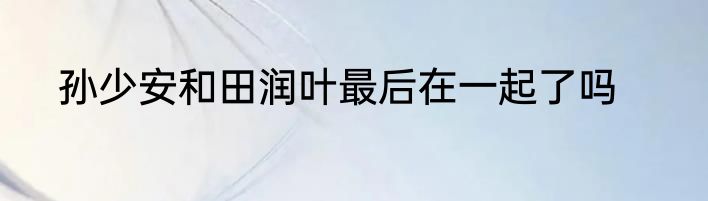孙少安和田润叶最后在一起了吗