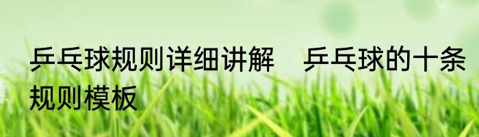 乒乓球规则详细讲解　乒乓球的十条规则模板