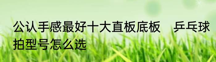 公认手感最好十大直板底板　乒乓球拍型号怎么选