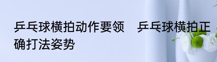 乒乓球横拍动作要领　乒乓球横拍正确打法姿势
