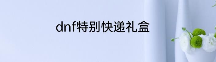 dnf特别快递礼盒