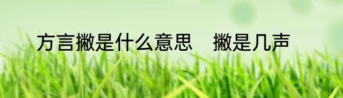 方言撇是什么意思　撇是几声