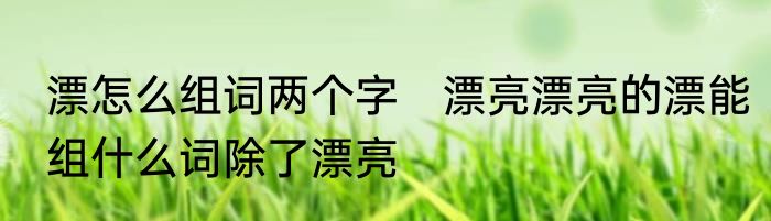 漂怎么组词两个字　漂亮漂亮的漂能组什么词除了漂亮