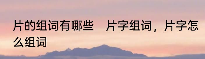 片的组词有哪些　片字组词，片字怎么组词