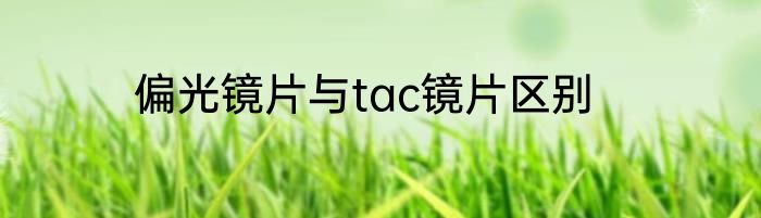 偏光镜片与tac镜片区别