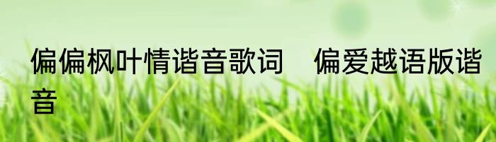 偏偏枫叶情谐音歌词　偏爱越语版谐音