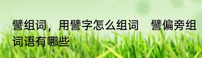 譬组词，用譬字怎么组词　譬偏旁组词语有哪些