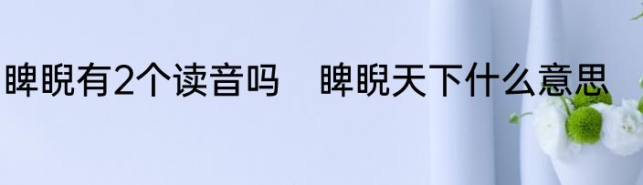睥睨有2个读音吗　睥睨天下什么意思