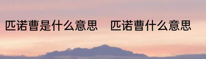 匹诺曹是什么意思　匹诺曹什么意思