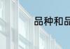 品种和品类有什么区别