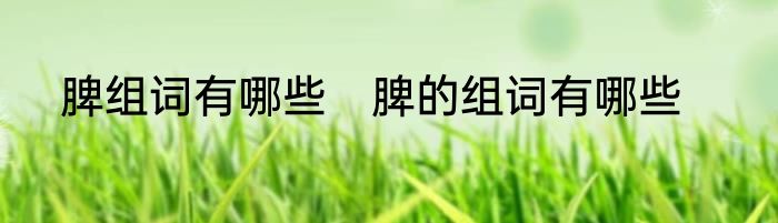 脾组词有哪些　脾的组词有哪些