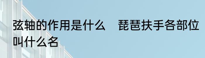 弦轴的作用是什么　琵琶扶手各部位叫什么名