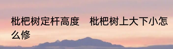 枇杷树定杆高度　枇杷树上大下小怎么修