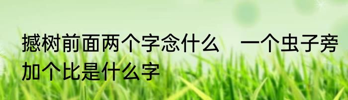撼树前面两个字念什么　一个虫子旁加个比是什么字