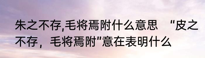 朱之不存,毛将焉附什么意思　“皮之不存，毛将焉附”意在表明什么