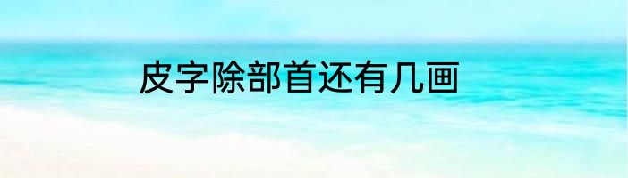 皮字除部首还有几画