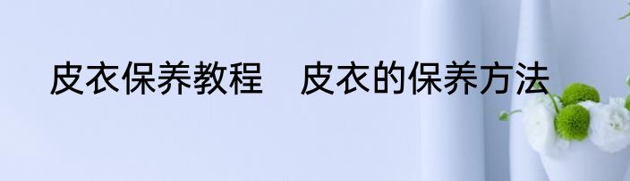 皮衣保养教程　皮衣的保养方法
