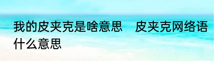 我的皮夹克是啥意思　皮夹克网络语什么意思