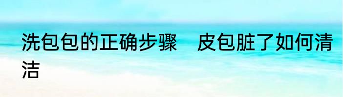 洗包包的正确步骤　皮包脏了如何清洁