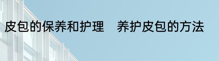 皮包的保养和护理　养护皮包的方法
