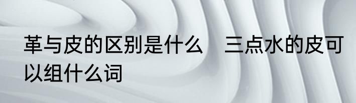 革与皮的区别是什么　三点水的皮可以组什么词