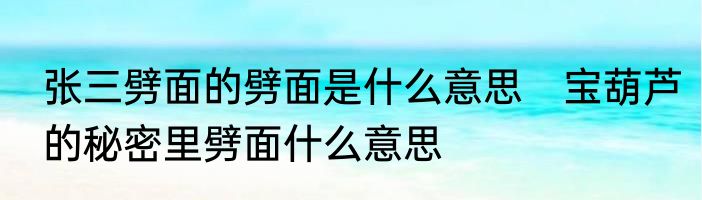 张三劈面的劈面是什么意思　宝葫芦的秘密里劈面什么意思