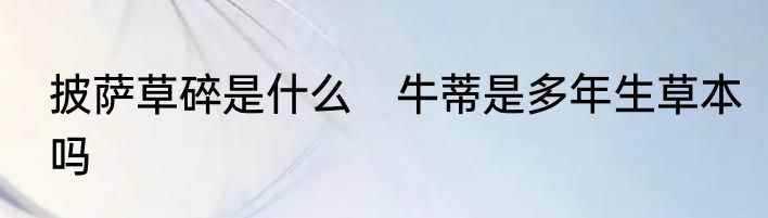 披萨草碎是什么　牛蒂是多年生草本吗
