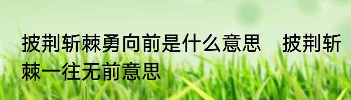 披荆斩棘勇向前是什么意思　披荆斩棘一往无前意思