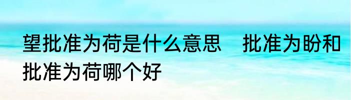 望批准为荷是什么意思　批准为盼和批准为荷哪个好