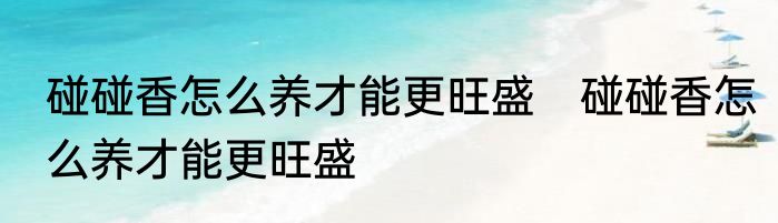 碰碰香怎么养才能更旺盛　碰碰香怎么养才能更旺盛