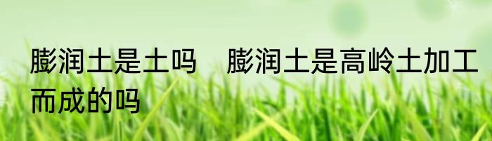 膨润土是土吗　膨润土是高岭土加工而成的吗