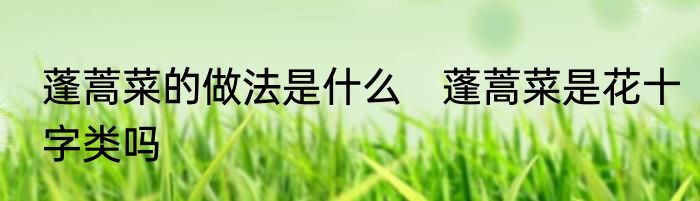 蓬蒿菜的做法是什么　蓬蒿菜是花十字类吗