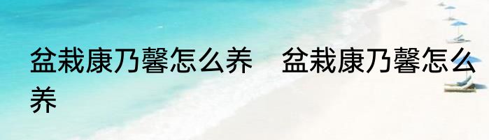 盆栽康乃馨怎么养　盆栽康乃馨怎么养