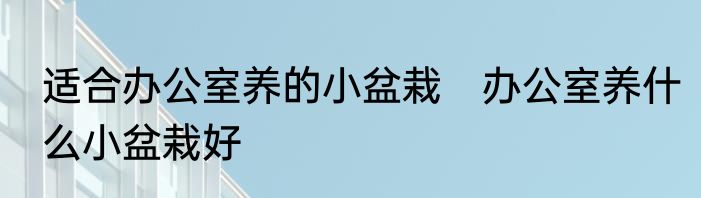 适合办公室养的小盆栽　办公室养什么小盆栽好