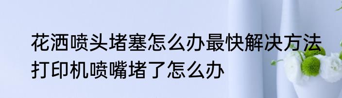 花洒喷头堵塞怎么办最快解决方法　打印机喷嘴堵了怎么办