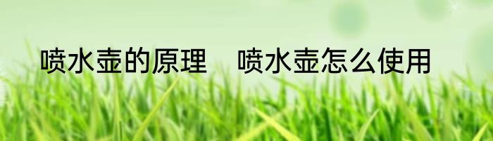 喷水壶的原理　喷水壶怎么使用