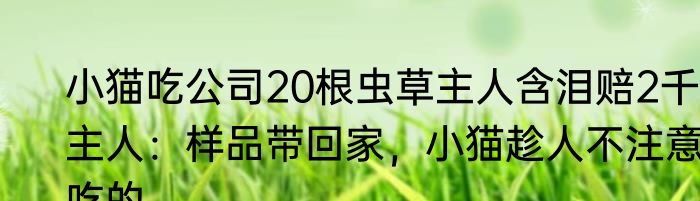 小猫吃公司20根虫草主人含泪赔2千，主人：样品带回家，小猫趁人不注意吃的
