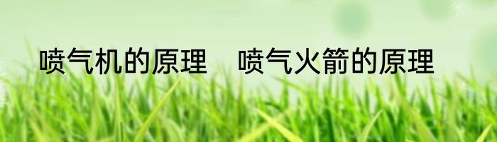 喷气机的原理　喷气火箭的原理