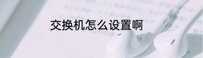 交换机怎么设置啊