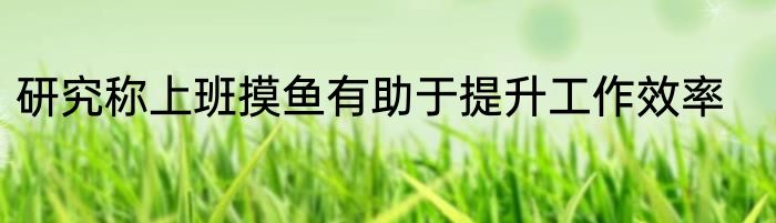 研究称上班摸鱼有助于提升工作效率