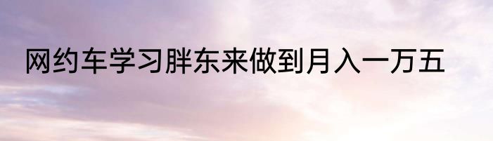 网约车学习胖东来做到月入一万五