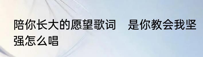 陪你长大的愿望歌词　是你教会我坚强怎么唱