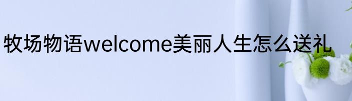 牧场物语welcome美丽人生怎么送礼