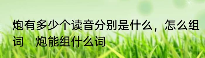 炮有多少个读音分别是什么，怎么组词　炮能组什么词