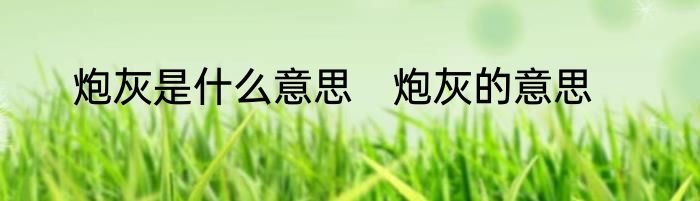 炮灰是什么意思　炮灰的意思