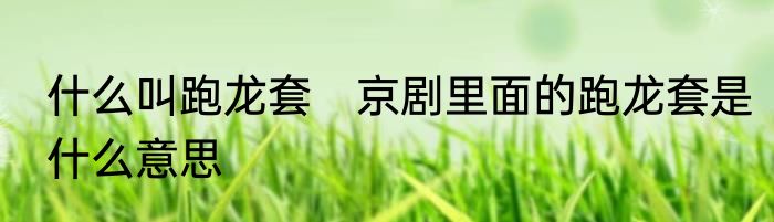 什么叫跑龙套　京剧里面的跑龙套是什么意思