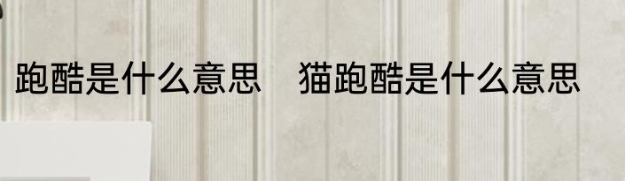 跑酷是什么意思　猫跑酷是什么意思