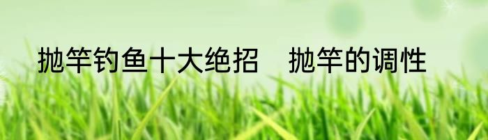 抛竿钓鱼十大绝招　抛竿的调性