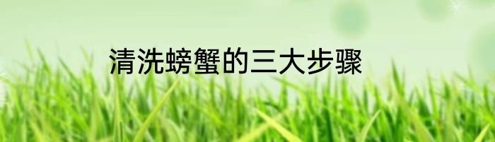 清洗螃蟹的三大步骤